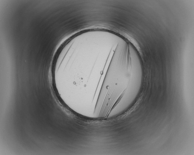 X0000111810936200908201107