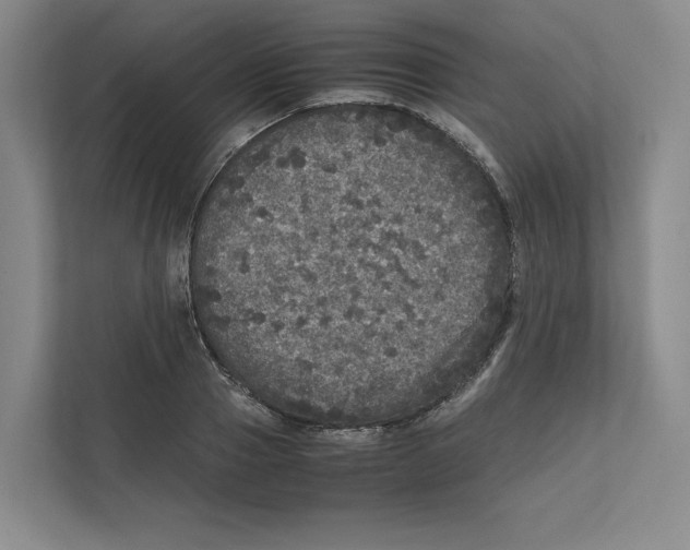 X0000111810937200908201107