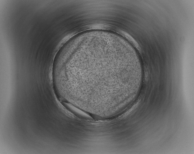 X0000111810938200908201107