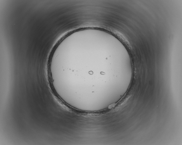 X0000111810942200908201107