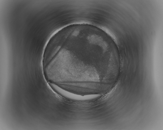 X0000111810943200908201107