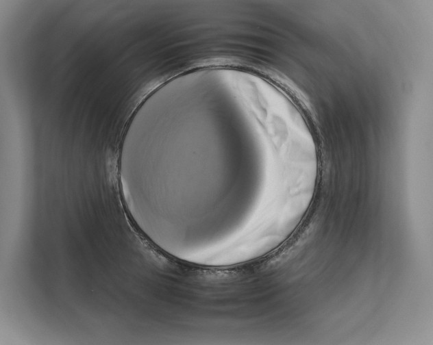 X0000111810945200908201107