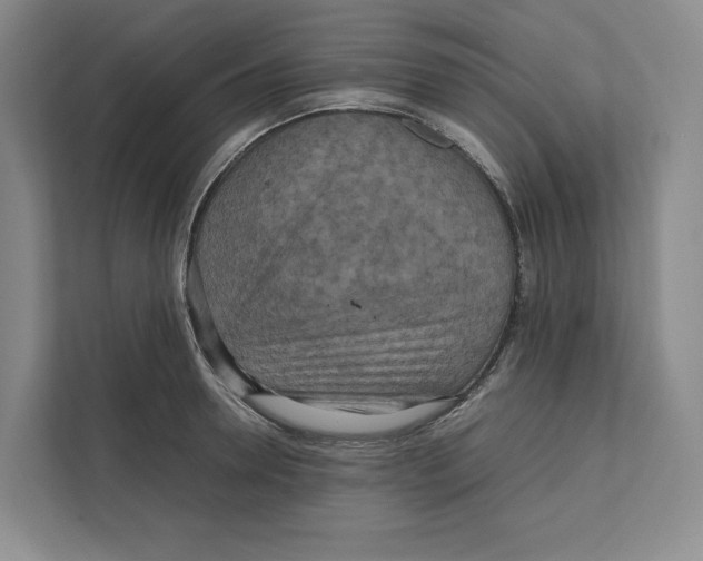 X0000111810946200908201107
