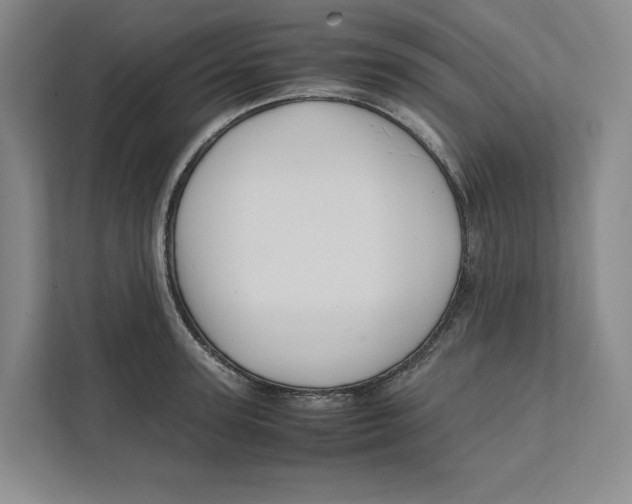 X0000111810947200908201107