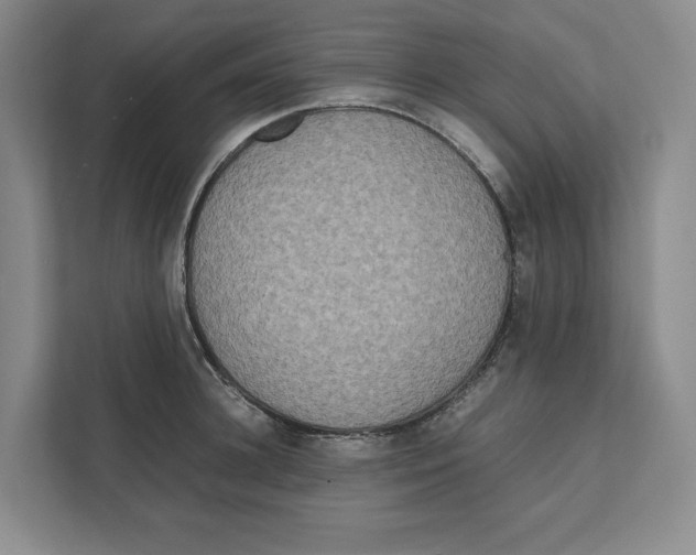 X0000111810948200908201107