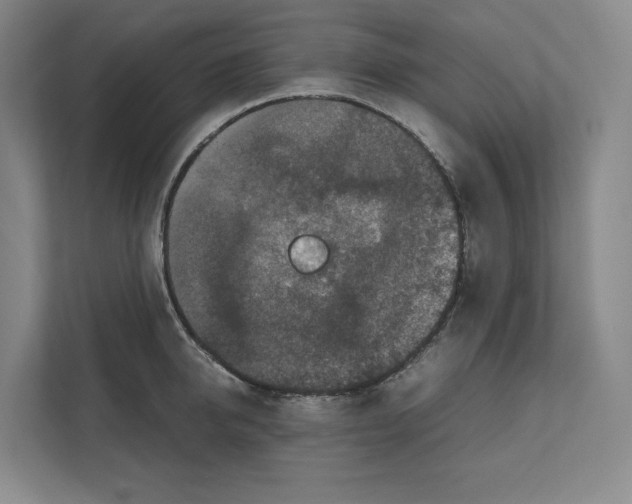 X0000111810950200908201107