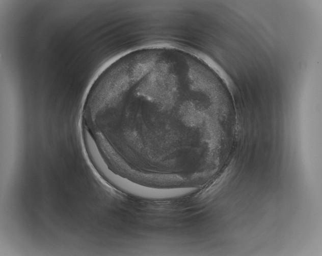 X0000111810951200908201107
