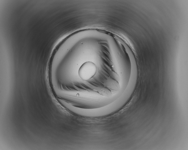 X0000111810952200908201107