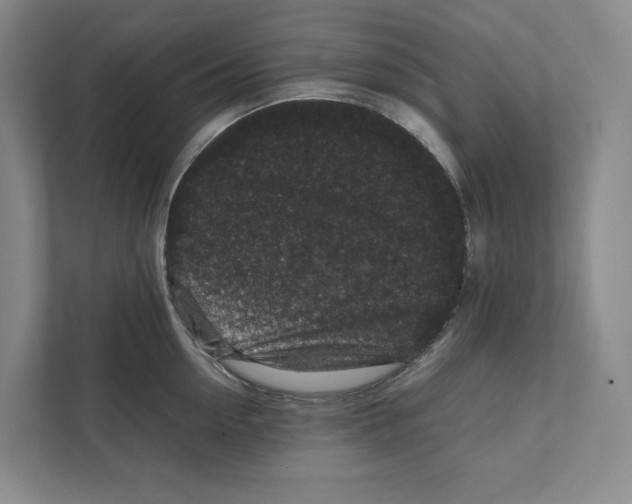 X0000111810954200908201108