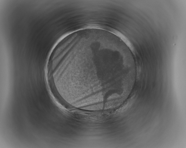 X0000111810955200908201108