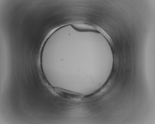 X0000111810956200908201108