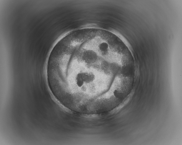 X0000111810957200908201108