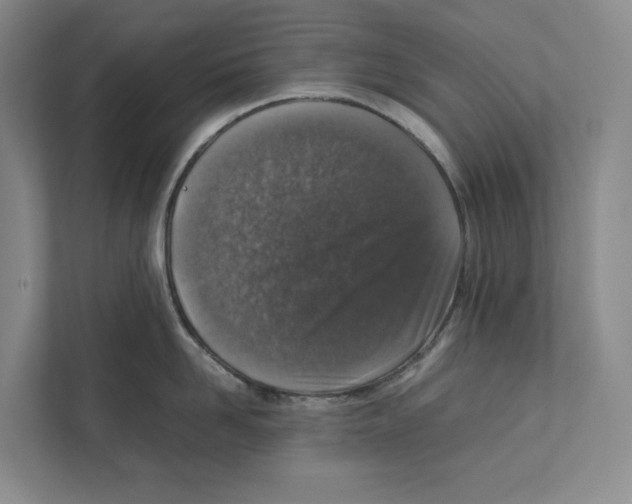X0000111810958200908201108