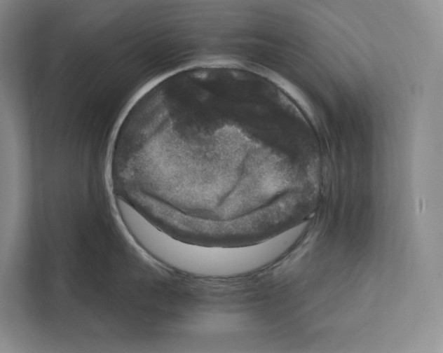 X0000111810959200908201108