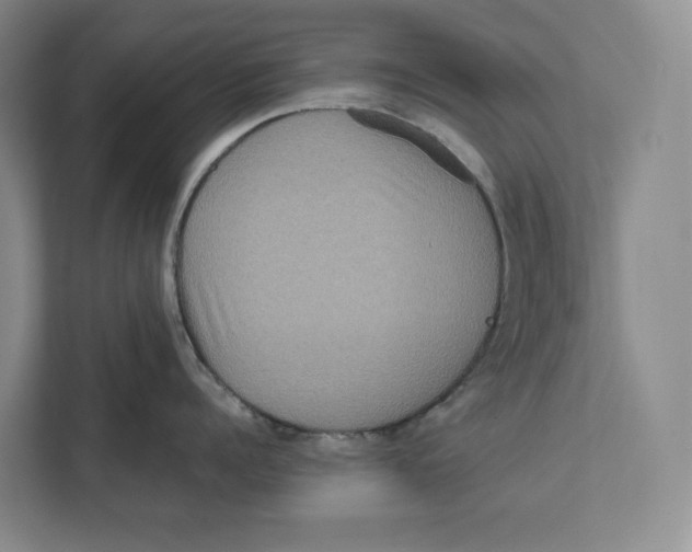 X0000111810960200908201108