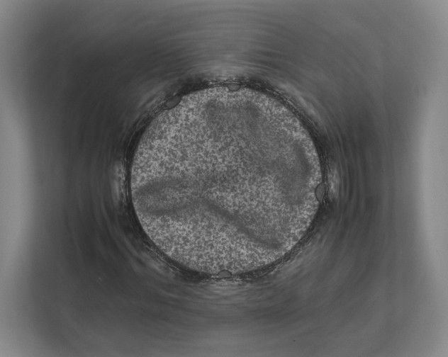X0000111810964200908201107