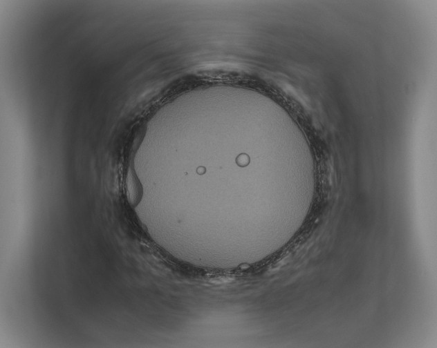 X0000111810965200908201107