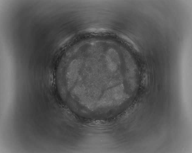 X0000111810966200908201107
