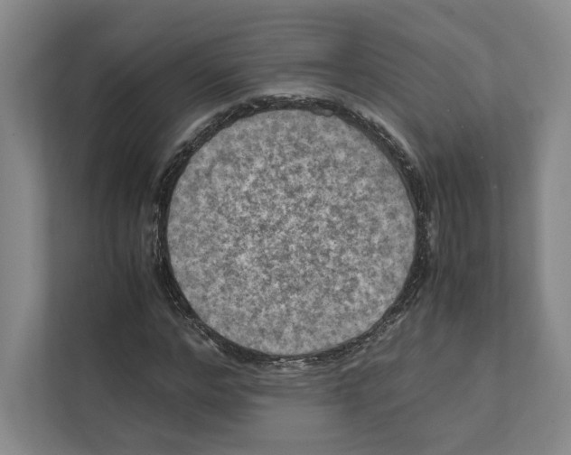 X0000111810968200908201107