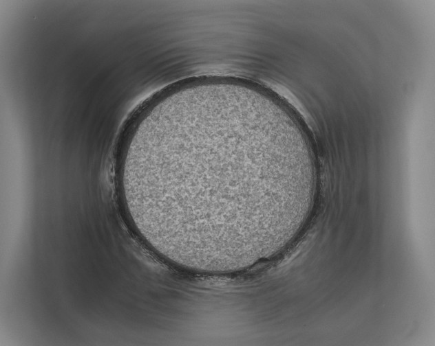 X0000111810971200908201107