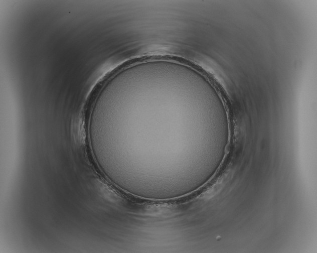 X0000111810973200908201107