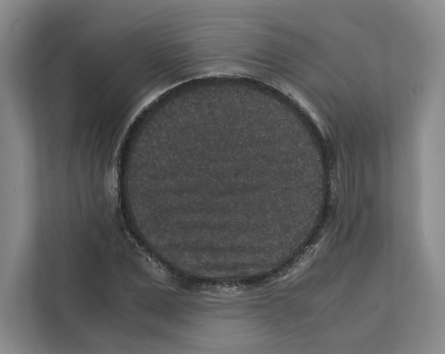 X0000111810975200908201107