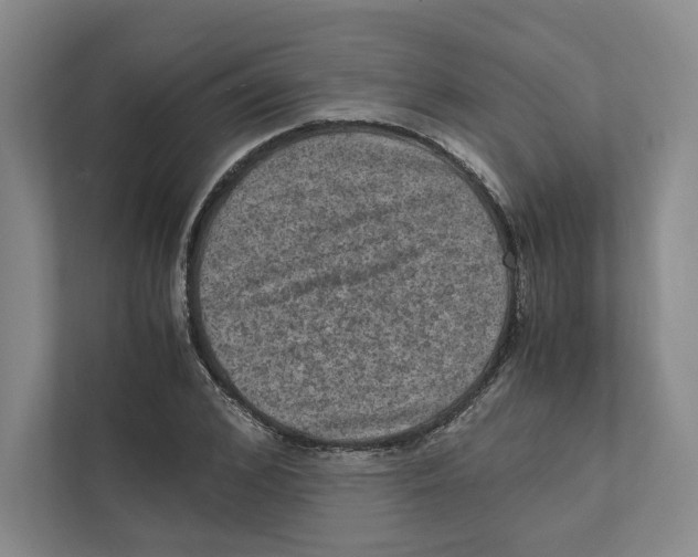 X0000111810976200908201107