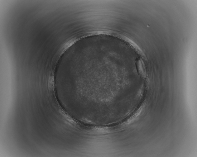 X0000111810977200908201107