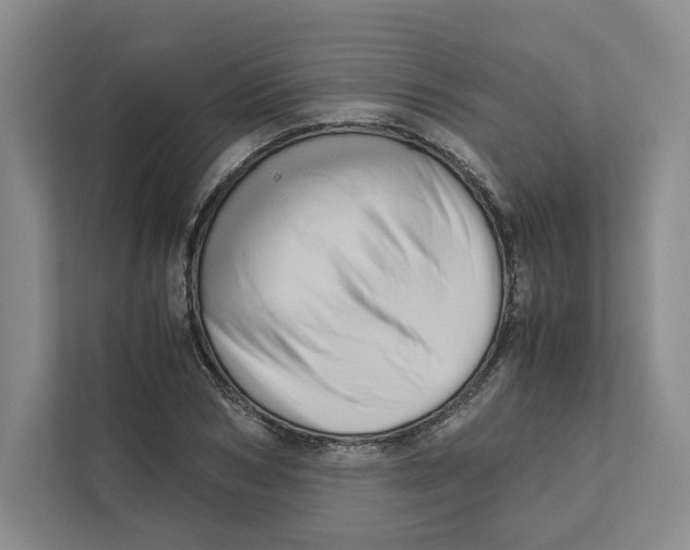 X0000111810978200908201107