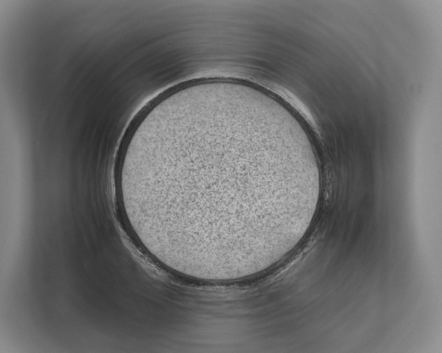 X0000111810980200908201107