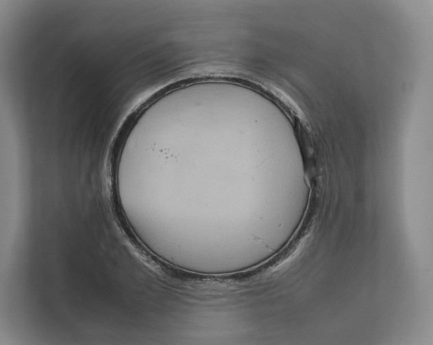 X0000111810981200908201107