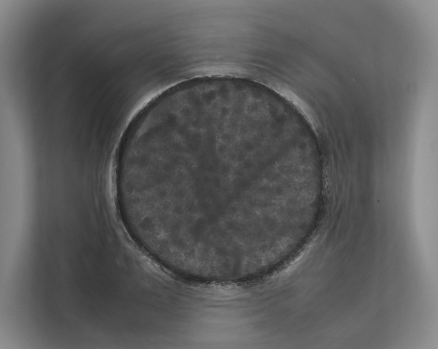 X0000111810983200908201107