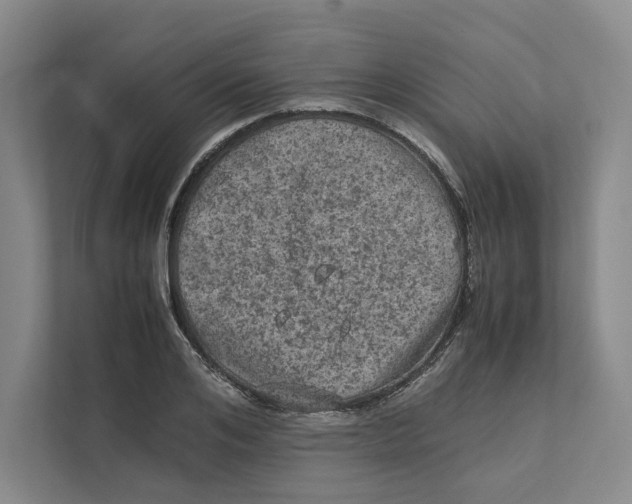X0000111810984200908201107