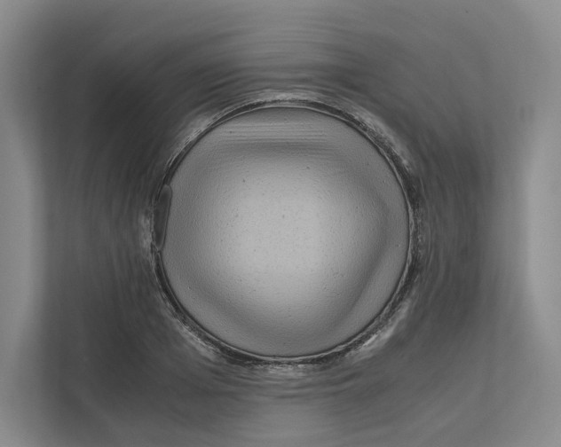 X0000111810985200908201107