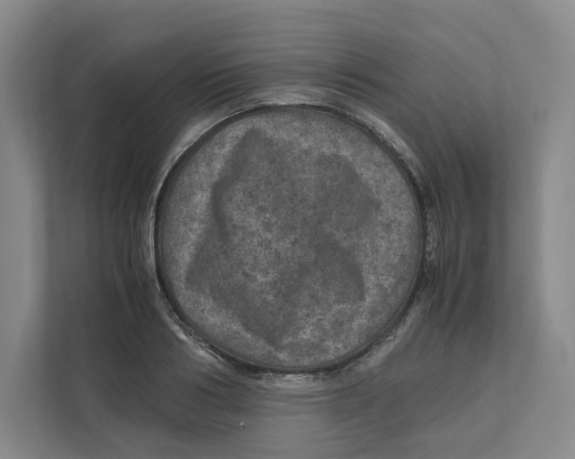 X0000111810986200908201107