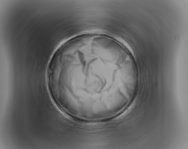 X0000111810989200908201107