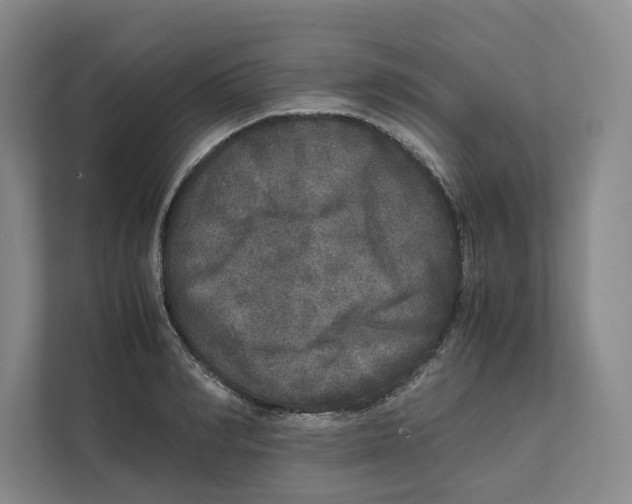 X0000111810990200908201107