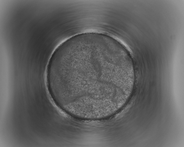 X0000111810991200908201107