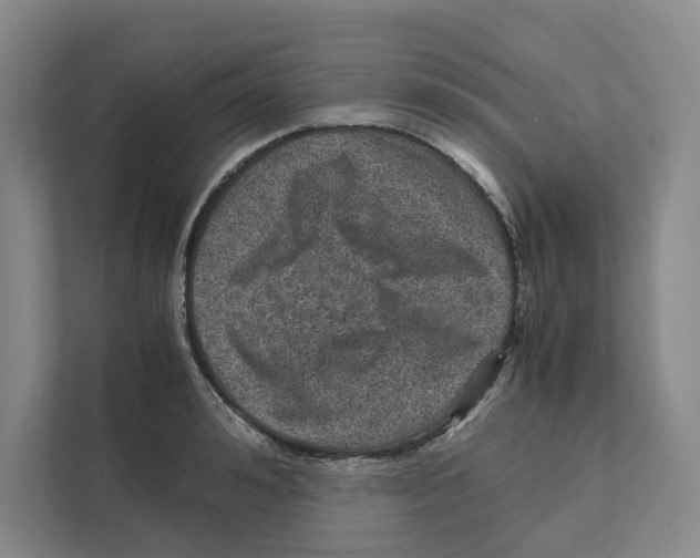 X0000111810992200908201107