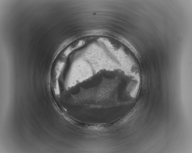 X0000111810994200908201107