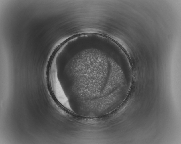 X0000111810995200908201107