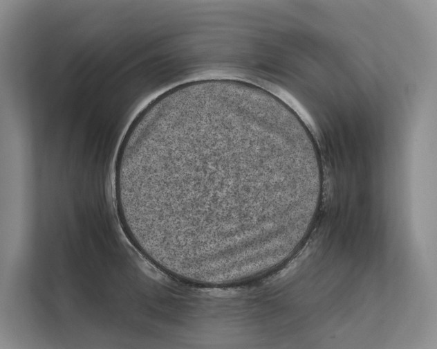 X0000111810996200908201107