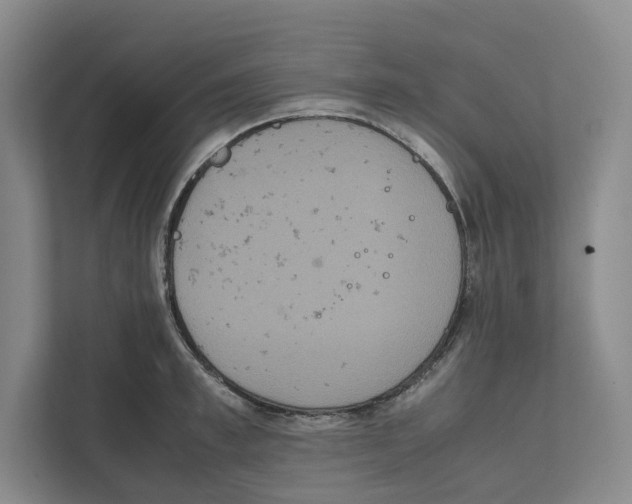 X0000111810997200908201107