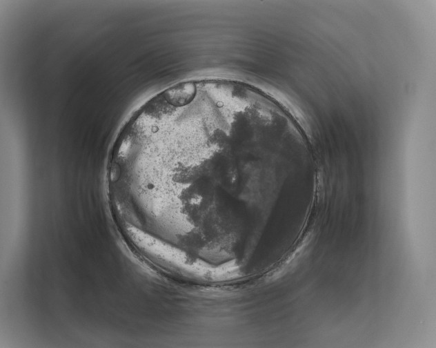 X0000111810998200908201106