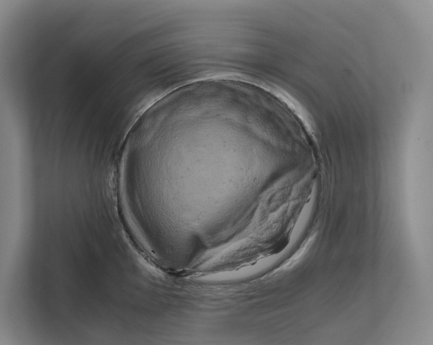 X0000111811001200908201106