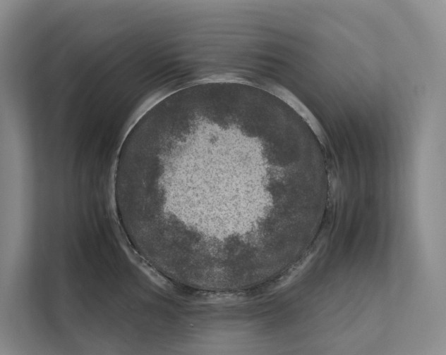 X0000111811002200908201106