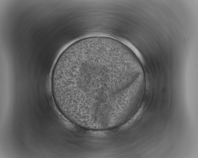 X0000111811004200908201106