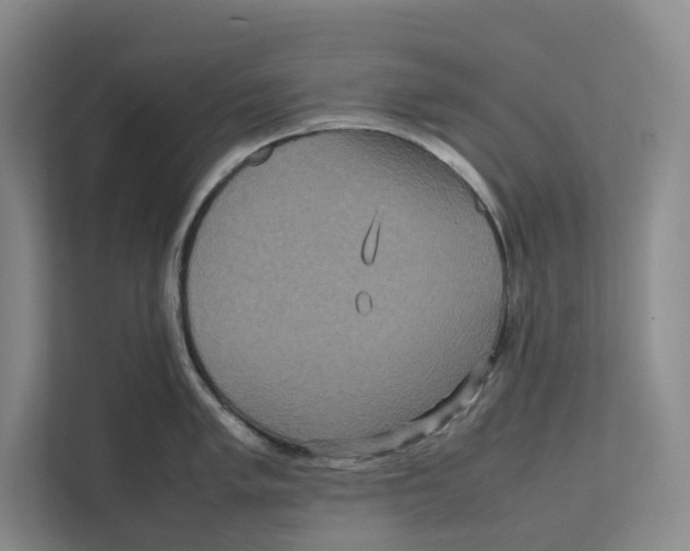 X0000111811005200908201106