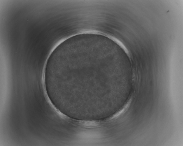 X0000111811007200908201106