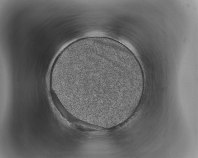 X0000111811008200908201106